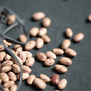 Schütt Optik Hörakustik Ludwigsburg Rolf Substance Bohnenbrillen vegan