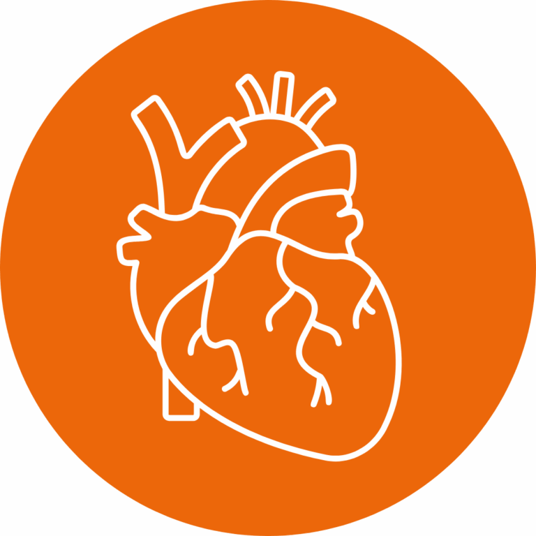 Augengesundheit -Die Netzhaut zeigt alles über Dein herz und Kreislauf