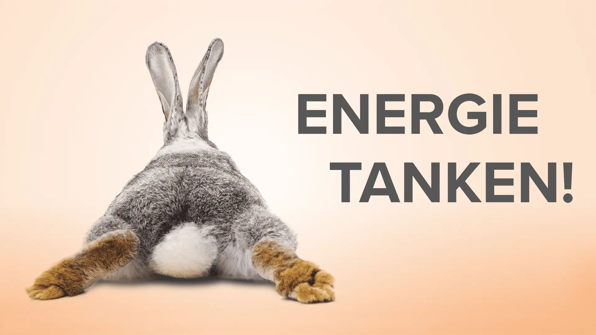 Schütt Optik Hörakustik Ludwigsburg Energie tanken Titel