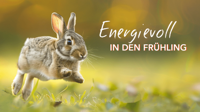 optik schuett ludwigsburg optiker hoergeraete energievoll in den fruehling