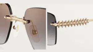 Schütt Optik Hörakustik Ludwigsburg Cartier Brillen