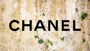 schütt optik hörakustik ludwigsburg chanel brillen logo 2026