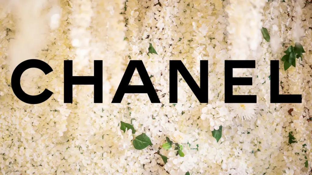 schütt optik hörakustik ludwigsburg chanel logo 2026