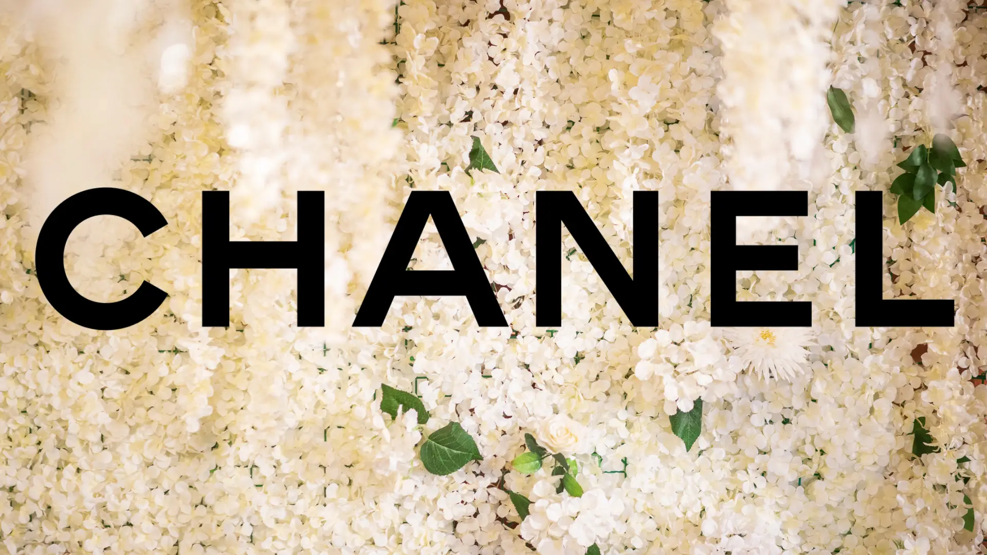 schütt optik hörakustik ludwigsburg chanel logo 2026
