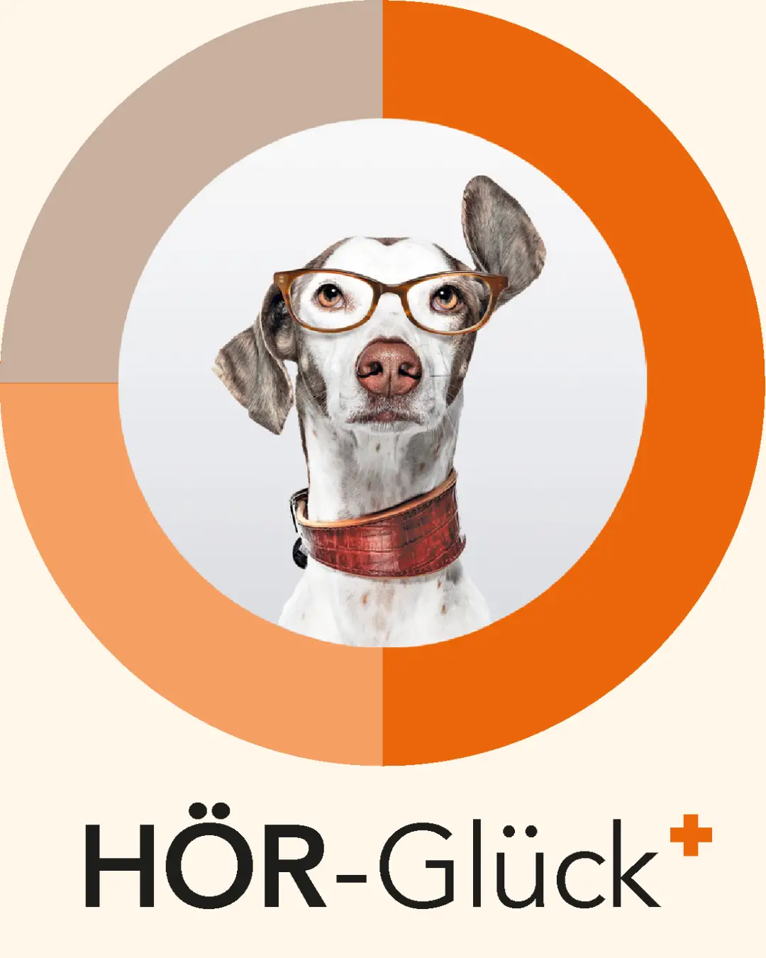 schütt optik hörakustik ludwigsburg hörgeräte abo infos