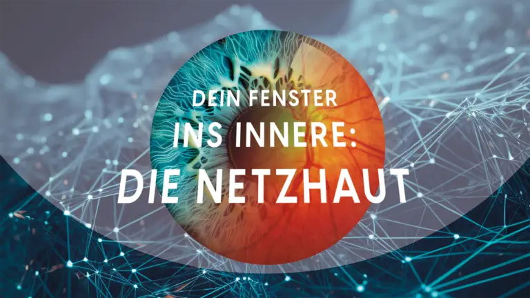 schuett optik hörakustik ludwigsburg netzhautanalyse mit ki auswertung 2026