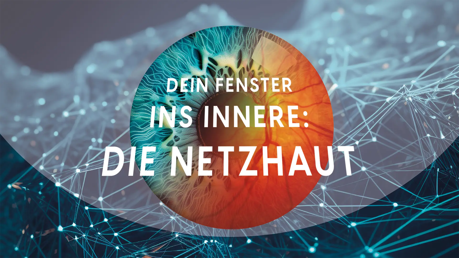 schuett optik hörakustik ludwigsburg netzhautanalyse mit ki auswertung 2026