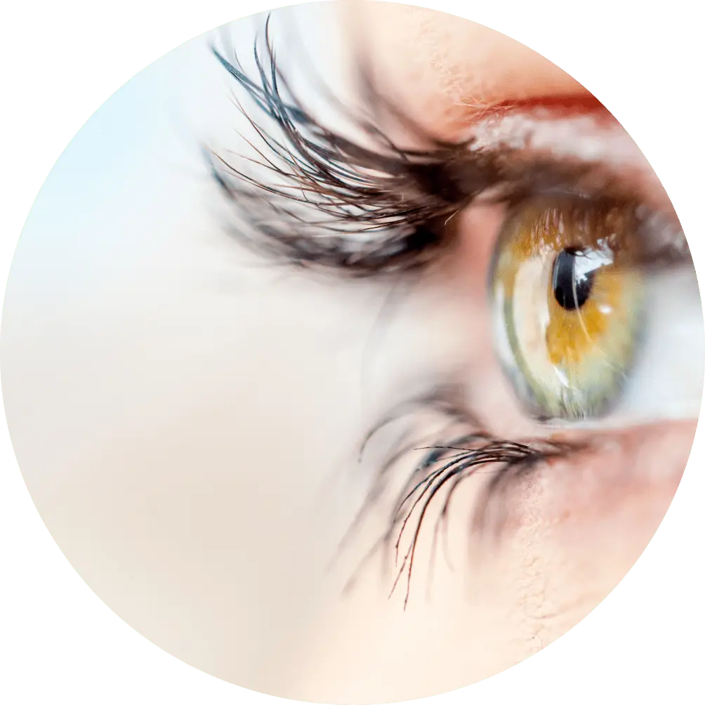 Schütt Optik Hörakustik Ludwigsburg optiker hörgeräte lidpflege gesundes auge